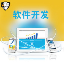 軟件外包服務(wù)全解析 報(bào)價(jià)、收費(fèi)模式與九品制服務(wù)分級(jí)